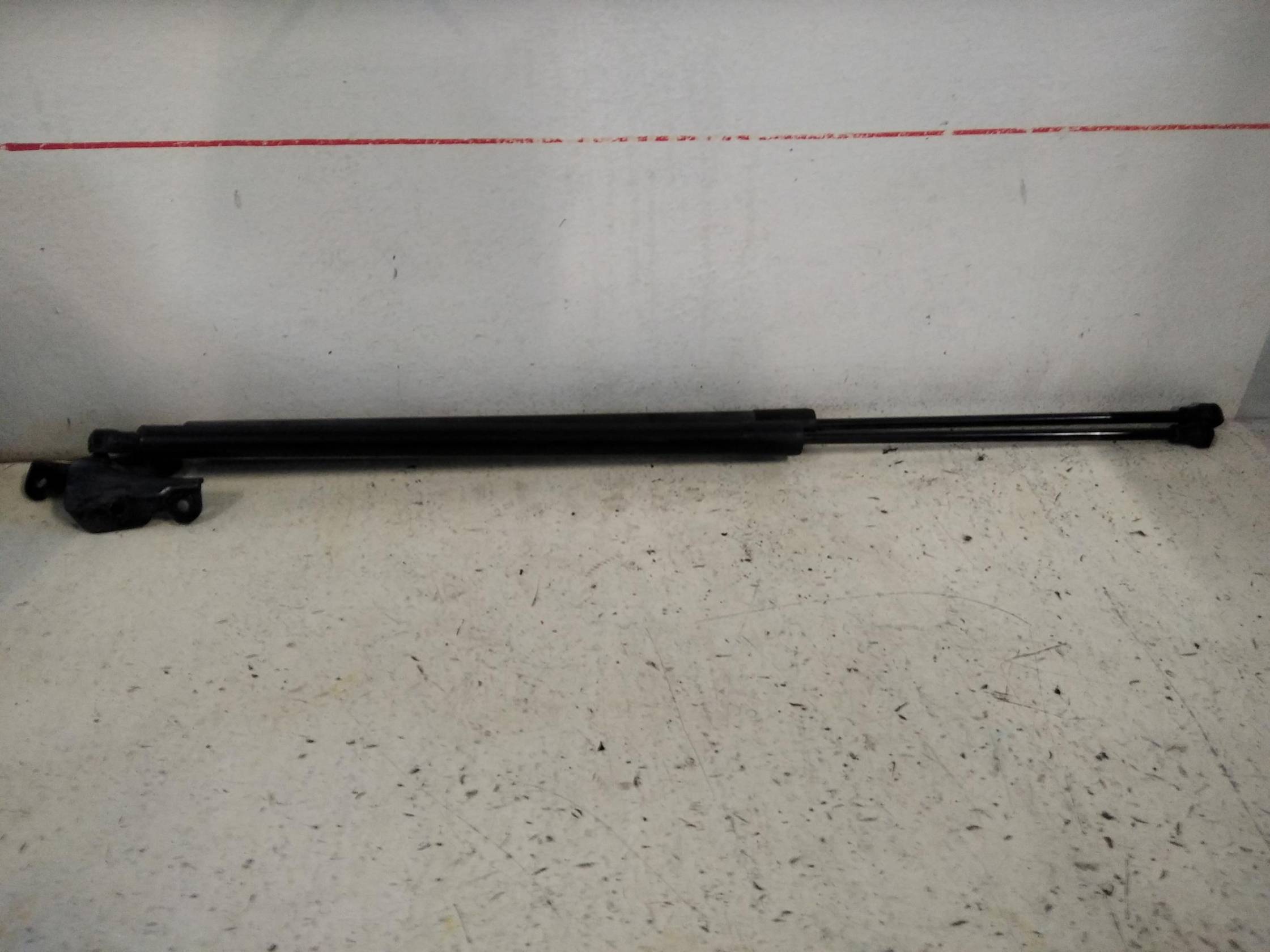 Asta ammortizzante portello post. sx.